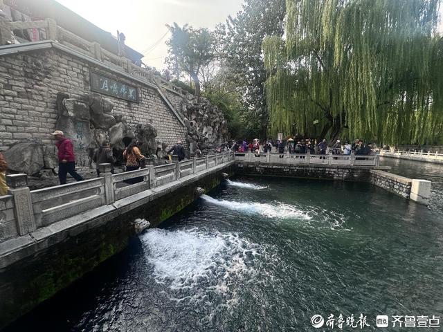 济南“清泉石上流”引市民游客打卡，“不扫泉水”提示牌藏巧思