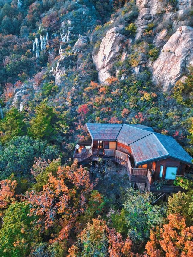 五彩斑斓！北京“漫山红叶”进最佳观赏期!