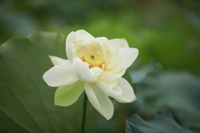 来六合，过个惬意的夏天！