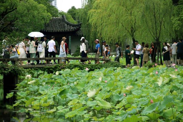 江苏苏州：园林迎来暑期旅游高峰
