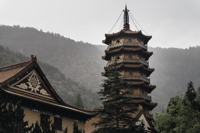在杭州天目山英迪格酒店，追溯与自然共生的邻间故事