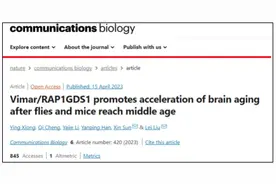 有这4 种表现，说明大脑开始衰老了！7 种方法可延缓大脑老化图片
