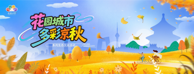 多彩京秋丨把秋天做成花束——北平之秋限定版活动征集