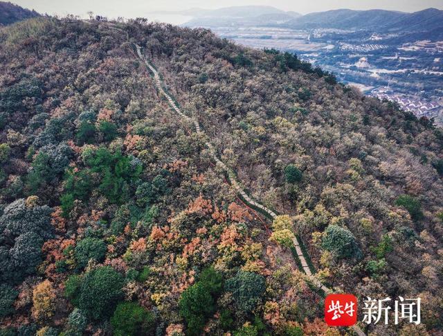 【图集】大美江苏！穿越森林秘境，漫步郊野公园，沉浸式感受"绿色动脉"