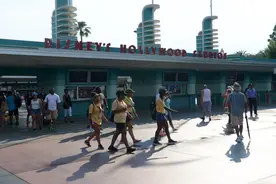 黑熊现身美国奥兰多迪士尼世界　已被捕获图片