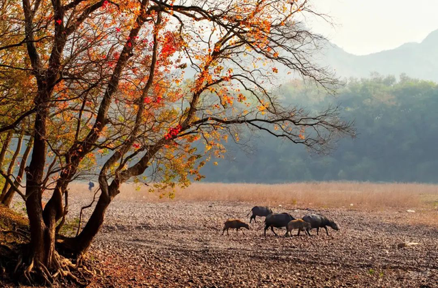 桂林户外徒步天花板！一键承包您的户外享受之旅，山水人文 + 小众秘境，赶紧收藏！