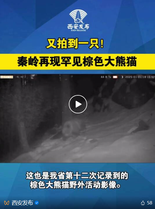 西安人抬头可见的山 越变越美