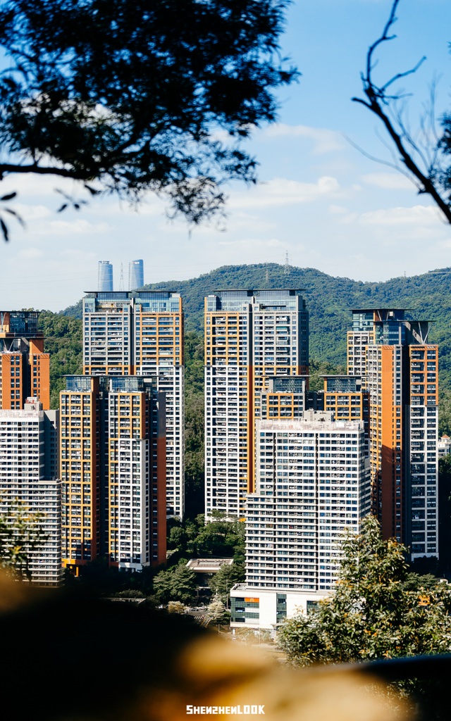 开在公园里的玻璃书房 · 深圳新安静空间