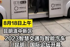 炫酷！一批无人驾驶智能汽车亮相昆明图片