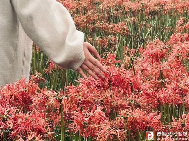 在上饶德兴享受独处的快乐，5个静谧空间超适合i人！