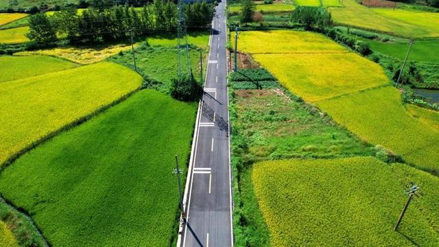 “路动力”激活夏日经济