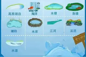 游泳消暑、安全第一，这里有你不可不知的“防溺密码”→图片