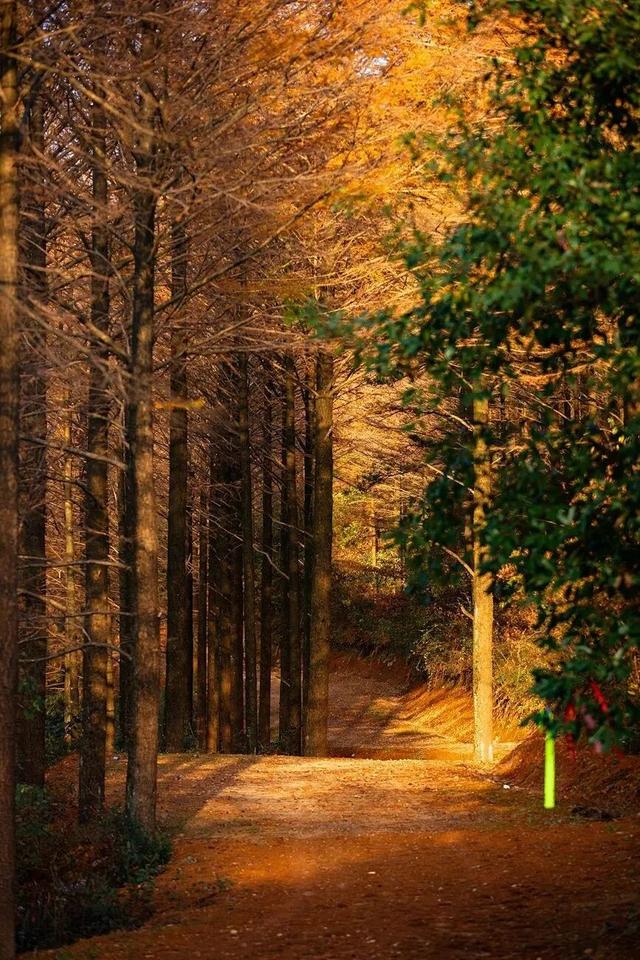 出发！快来奉化，“捡秋”啦！