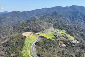 低空赏花、竹排泛舟……春日经济“金”满地 沉浸式体验“花漾生活”图片