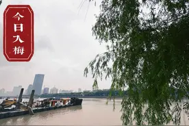 宁波正式入梅！今天夜里到明天有阵雨图片