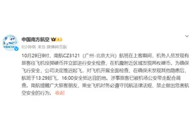 不是第一次了！又有人向飞机扔硬币，最新消息……图片