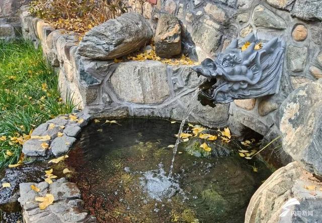 组图丨一大波美图来袭！泰山景区9个赏秋地超出片