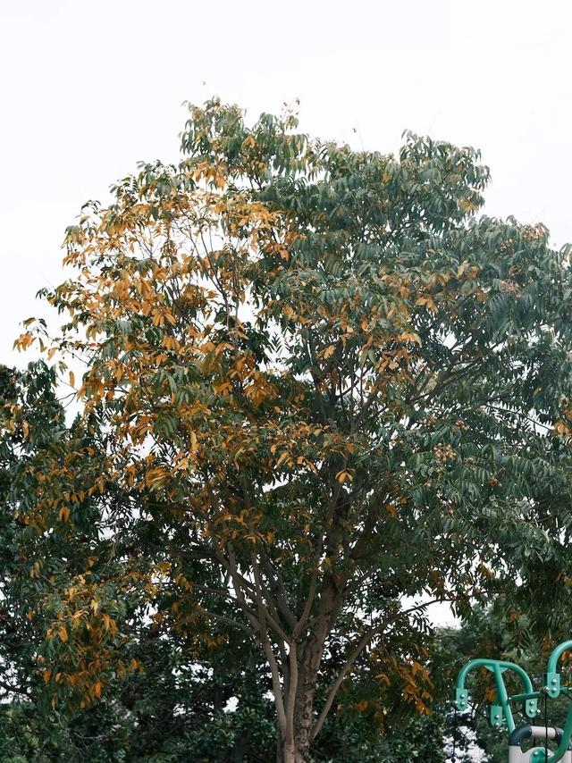 域见上海·域见奉贤｜奉浦秋日限定！这三条宝藏路线，承包所有秋日浪漫，刷爆朋友圈就靠它