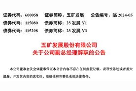 五矿发展股份有限公司副总经理朱江辞职图片