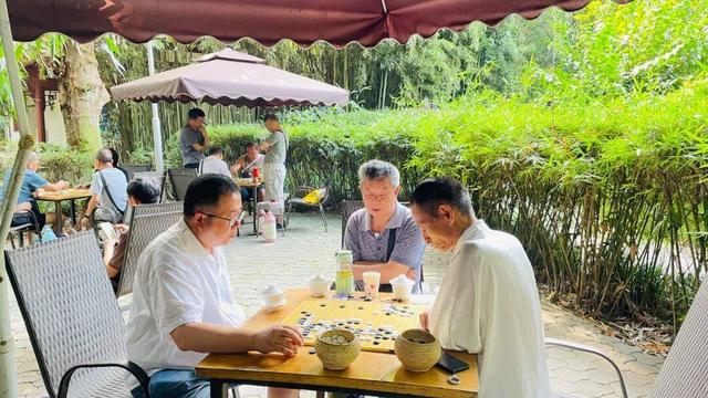 一杯盖碗茶，喝出老成都的巴适生活｜国庆中秋游成都①
