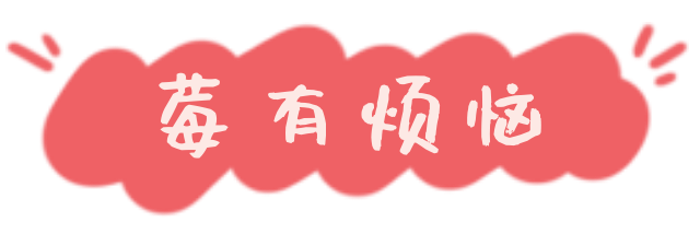 冬日甜蜜预警！永宁草莓采摘季来啦~
