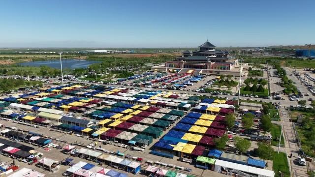 2025夏季阿拉善玉·观赏石文化旅游交易博览会开幕