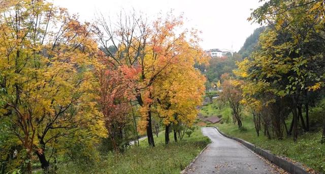 盘州东湖:绚烂的秋景