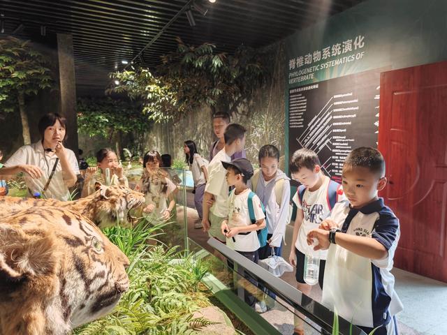体验自然“活课堂”，韶关武江这场研学科普之旅让暑假“野”有趣！