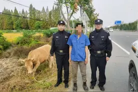 高效联动，潜江警方8分钟拦截抓获盗牛嫌疑人图片