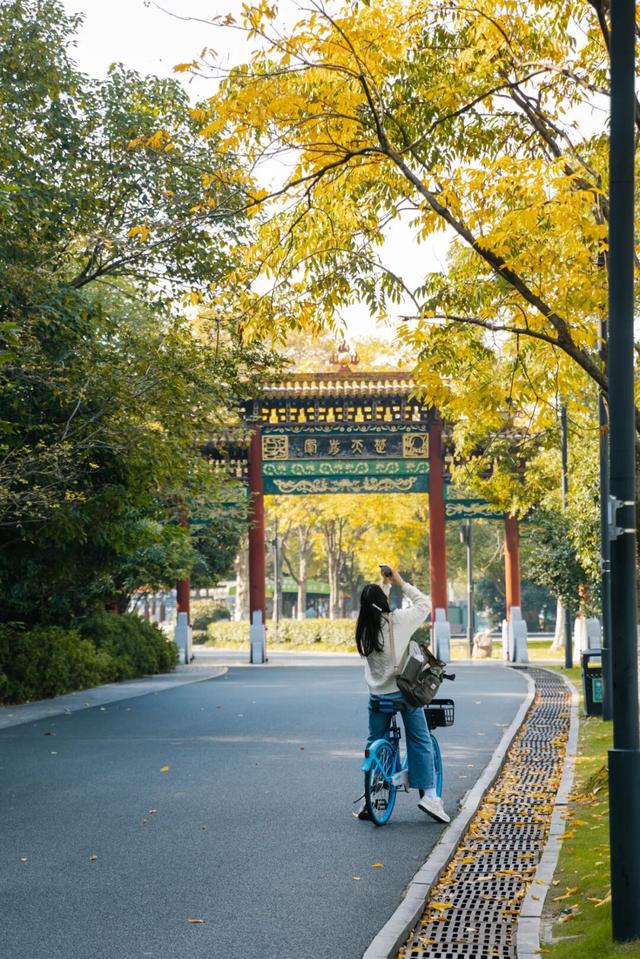 东湖秋日图鉴③｜磨山秋笺：一叶一诗，帧帧藏秋韵