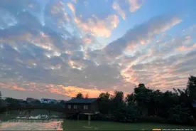 南宁最低气温将跌至个位数？今年第一波强冷空气即将来临！图片