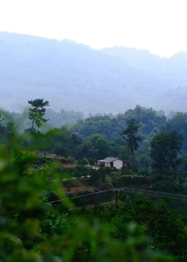 喜望，山上的小院