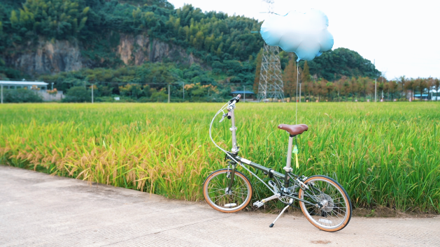 错过要等一年！椒江这片稻田封神了