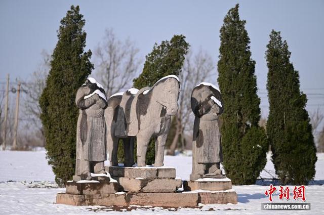 河南巩义宋陵冬景上新 小麦、初雪、石像生同框
