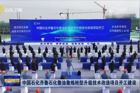 中国石化齐鲁石化鲁油鲁炼转型升级技术改造项目开工建设 林武周乃翔马永生赵东出席图片