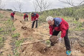 靖州2000亩茯苓科技实验田迎来大丰收，科技赋能茯苓提产增效图片