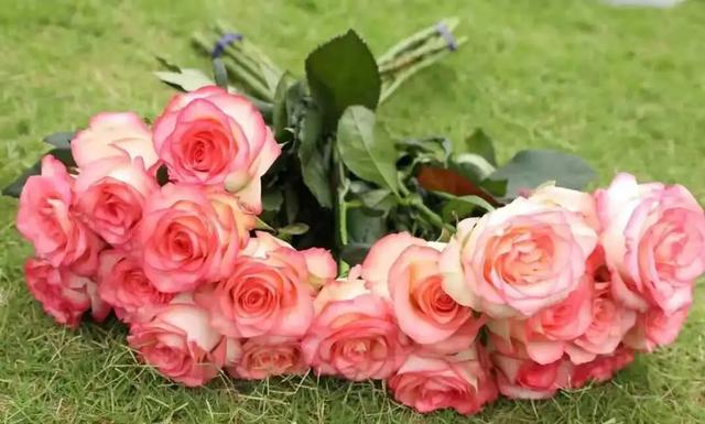 “三秦四季 暖冬杨凌” ——杨凌冬季旅游采摘系列活动正式启动