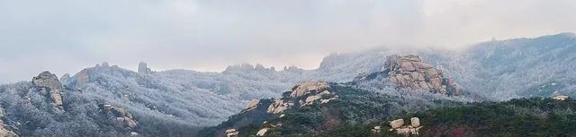 限时仙境！崂山巨峰雾凇进入最佳观赏期，打卡攻略速看