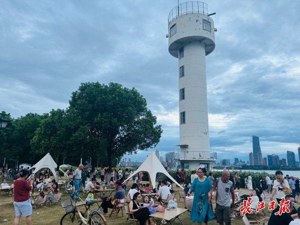 “孤独的树”不孤独了，向日葵花海引全国游客来打卡