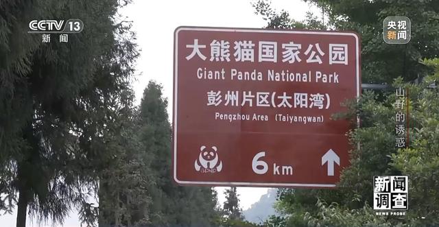 新闻调查丨户外探险事故频发 如何规范管理“越界”行为？