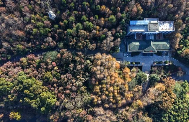 高光频现，火爆出圈！就在巢湖这里…