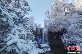 四川瓦屋山、峨眉山迎降雪 银装素裹图片