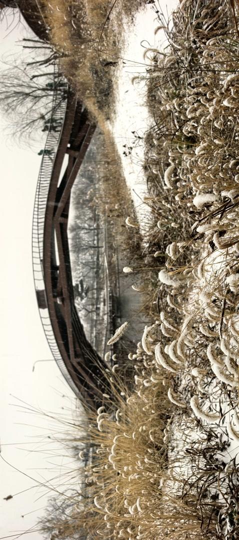 清河之洲，在河之洲看雪景！