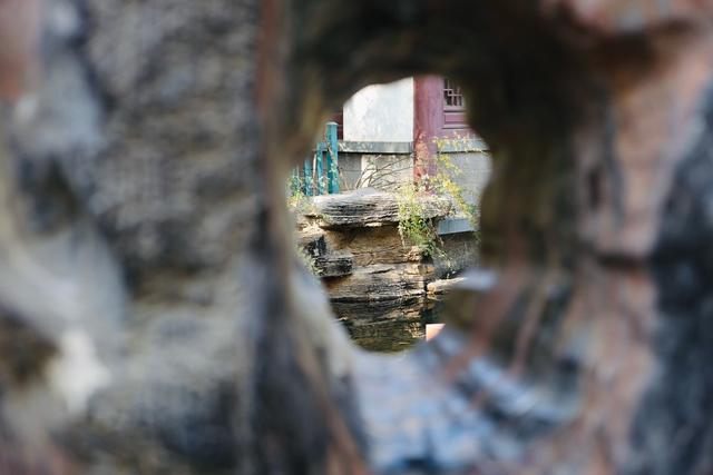 新视界｜如诗如画！冬至趵突泉 景色别样新