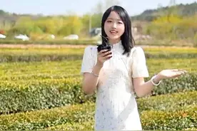 小丁探茶 | ⑤岚山区巨峰镇何以成为日照绿茶核心产区？图片