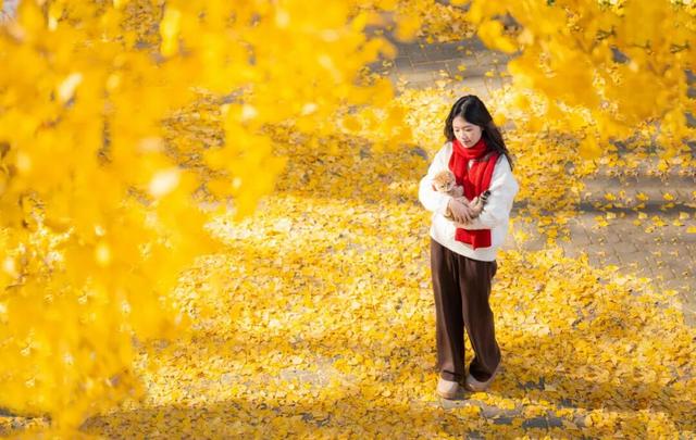 限时绝美！年度顶流！