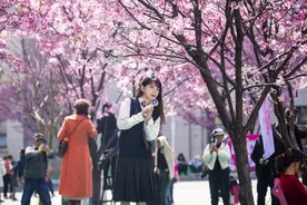 春假落地难，城乡、学段差异何解？专家：分层施策不可盲目追图片