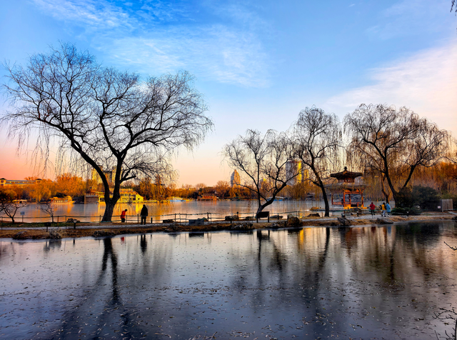 赴一场紫竹院的冬日之约，在夕阳里撞见满院温柔