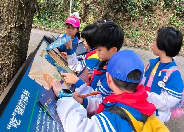 鼎湖山研学爆单了！已超3.8万人打卡