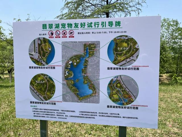 刚刚官宣了！合肥大喜讯！